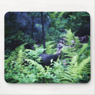 Mother Turkey in Ferns Mousepad