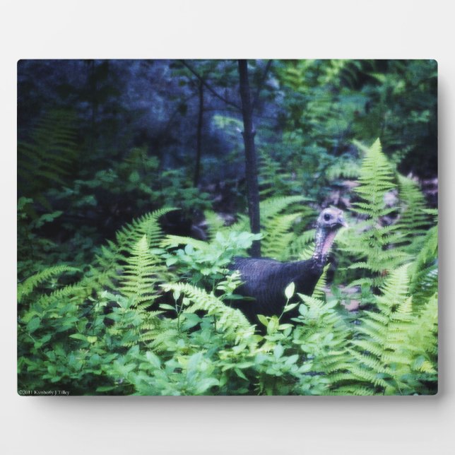 Mother Turkey in Ferns Plaque (Front)