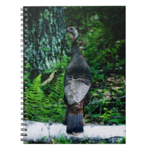 Mother Turkey Notebook