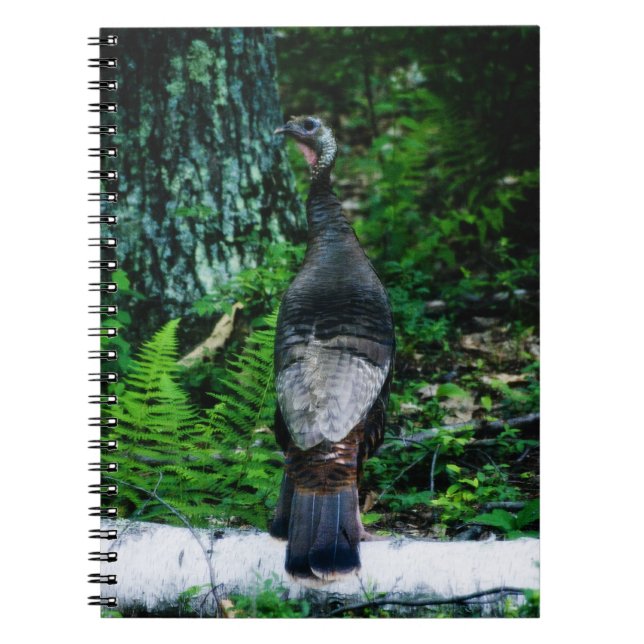 Mother Turkey Notebook (Front)