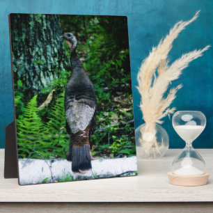 Mother Turkey Plaque