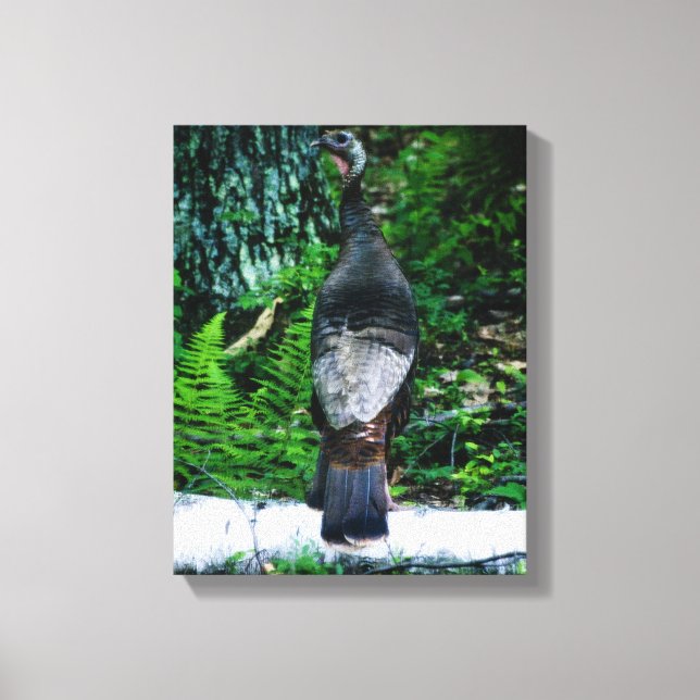Mother Turkey Wrapped Canvas (Front)