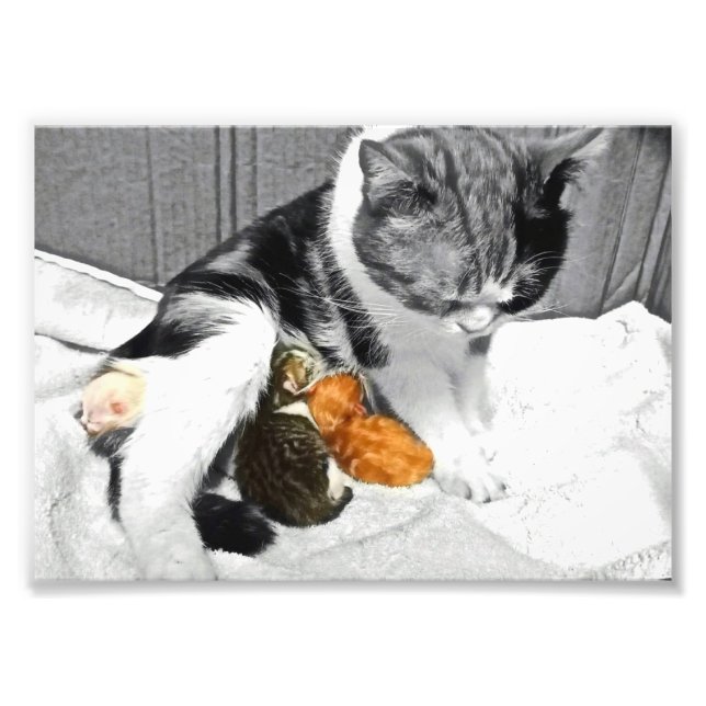 Motherhood Photo Print (Front)