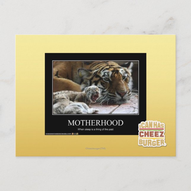 Motherhood Postcard (Front)