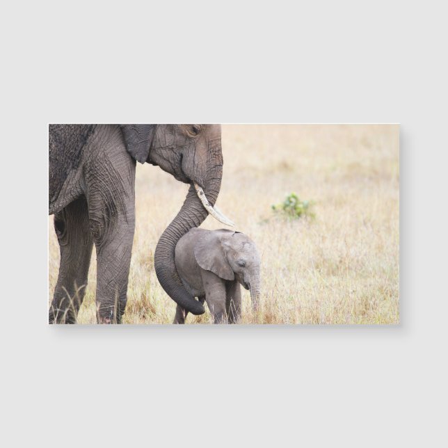 Motherly love (Front)