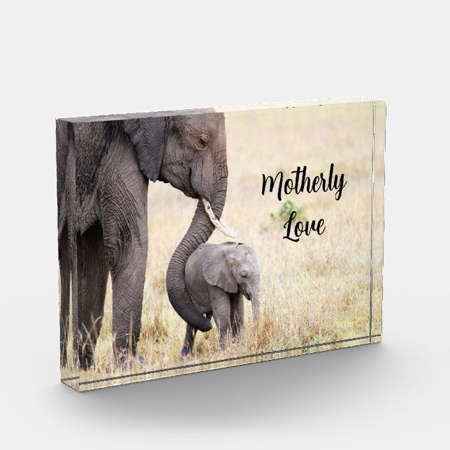 Motherly love elephant baby personalised photo block (Left)