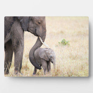 Motherly love plaque