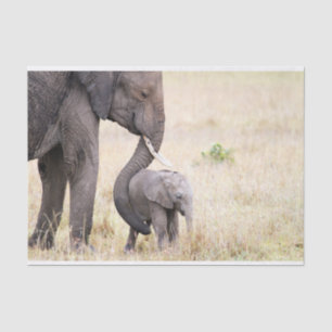 Motherly love tissue paper