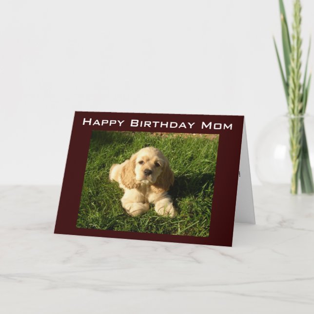 MOTHER'S BIRTHDAY ADVICE FOR BIRTHDAY CARD (Front)