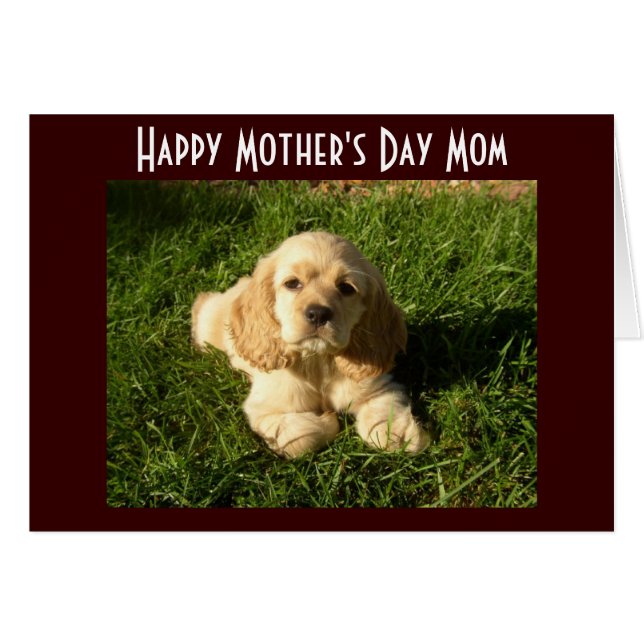 ***MOTHER'S DAY*** ADVICE & THANK YOU FOR MOM (Front Horizontal)