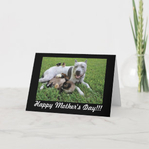 Mother's Day Animal Lover Fur Baby Mom Card