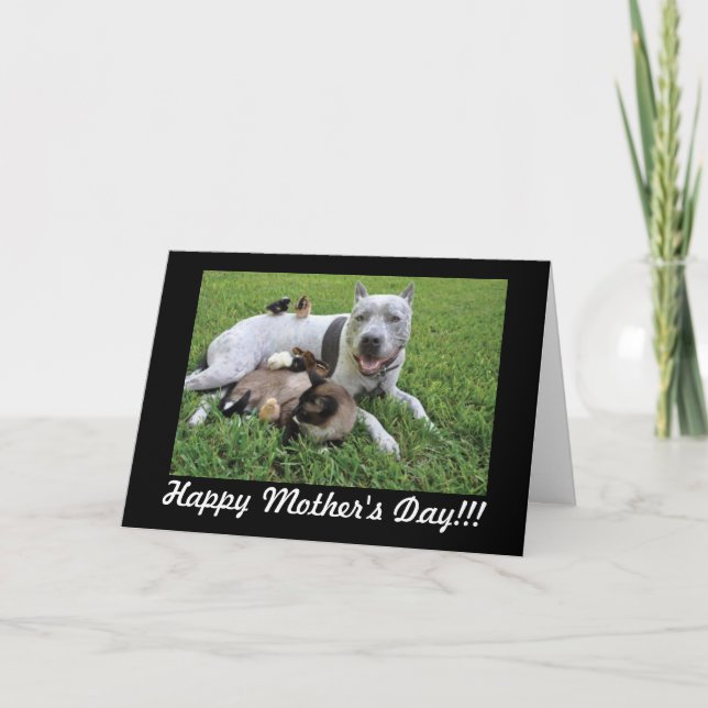 Mother's Day Animal Lover Fur Baby Mom Card (Front)