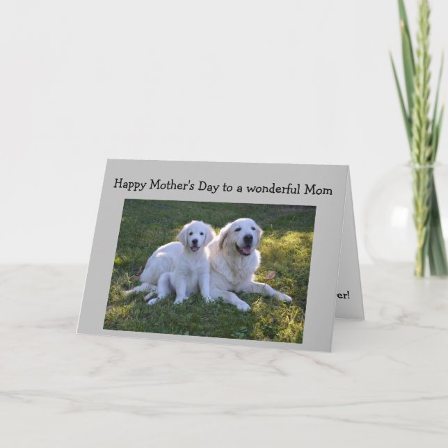 Mother's Day Best Mom Ever Golden Retriever Dog Card (Front)