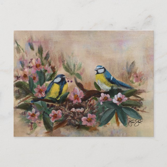 Mothers Day Birds Invitation Postcard (Front)