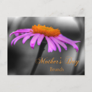 Mothers Day Brunch Purple and Orange Coneflower Postcard