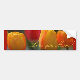Mother's Day Bumper Sticker