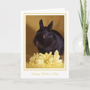 Mother's Day - Bunny and Daisies Greeting Card