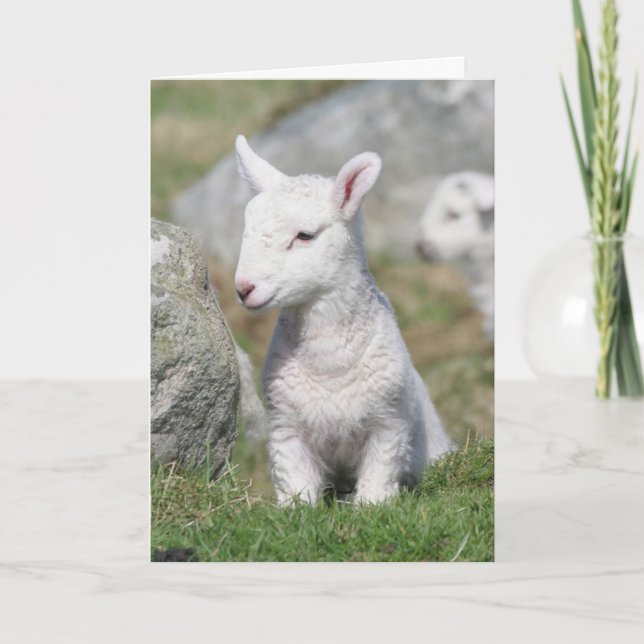 MOTHERS DAY CARD (Front)