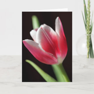 Mother's Day Card