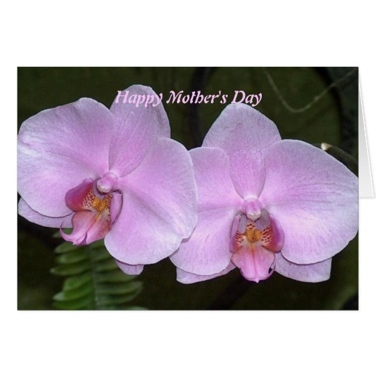 Mothers Day Card