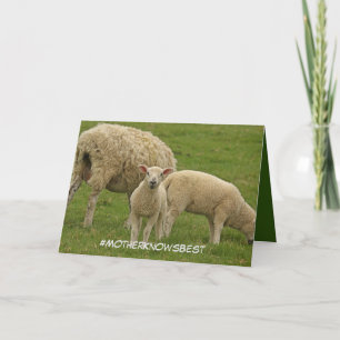 Mother's Day card featuring lamb