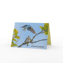 Mother's Day card featuring tree swallows