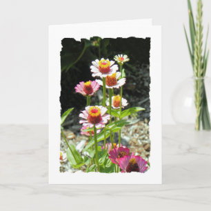 Mother's Day Card for Aunt, Colourful Flowers