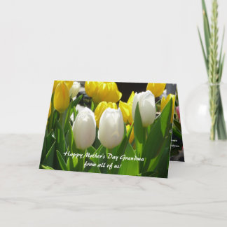 Mother's Day Card for Grandmother from Grands