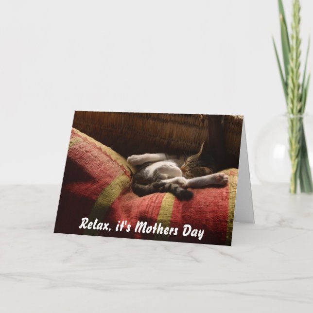 Mothers Day Card from the Cat sleeping on Couch (Front)