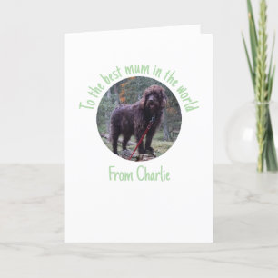 Mother's Day Card From the Dog