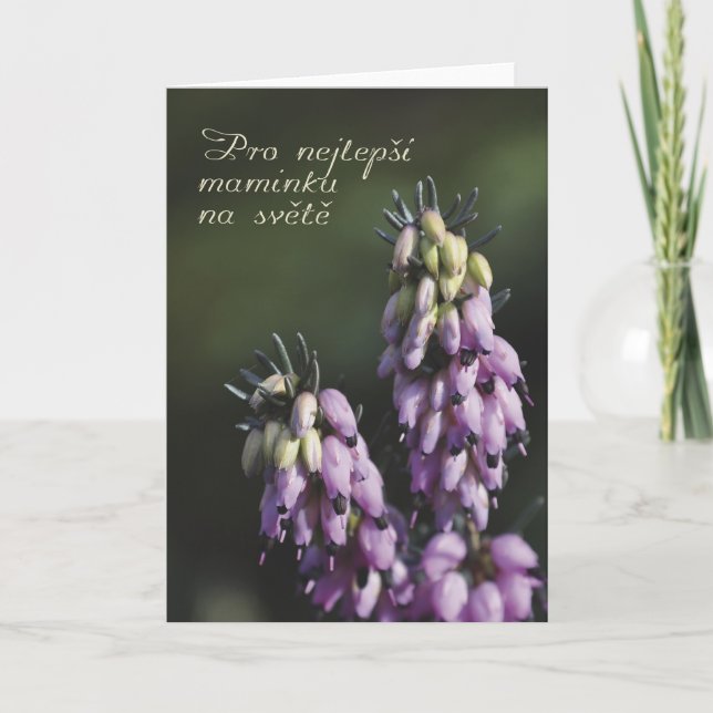 Mother's Day card in Czech (Front)