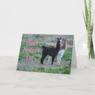 Mother's Day card-llama kids Card