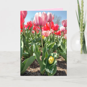 Mother's Day Card - Mum and Baby Tulips