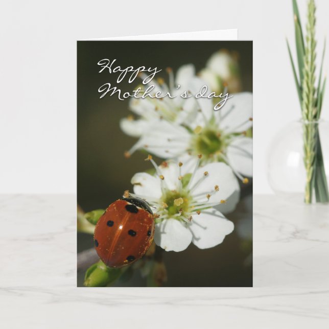 Mother's Day Card With Ladybird On Hawthorn - Lady (Front)