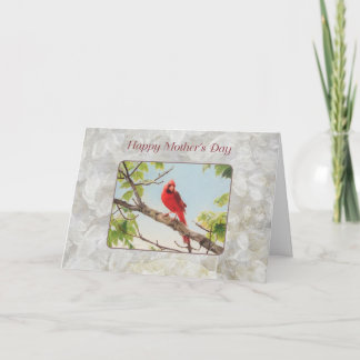 Mother's Day, Cardinal Card
