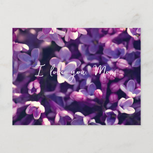 Mother's Day Cards, Gift, Photo lilac flower, Holiday Postcard