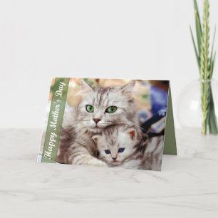 Mother's Day Cat and Kitten Card