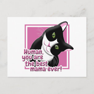Mother's Day Cat Postcard