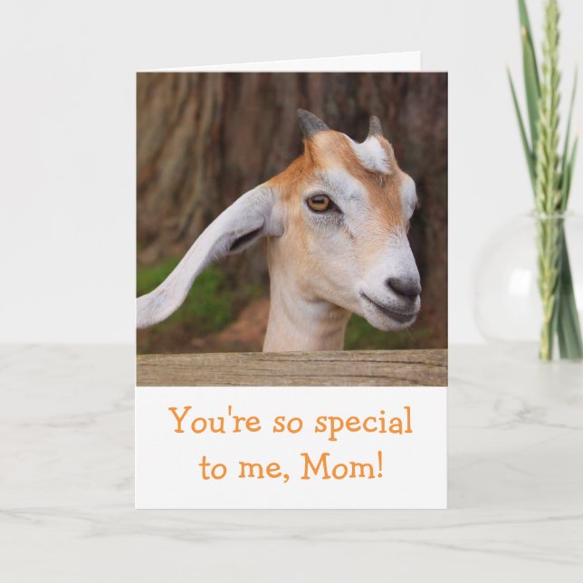 Mother's Day Cute Baby Goat Card (Front)