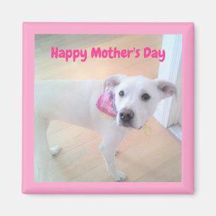Mother's Day Cute White Puppy Dog Pink Magnet