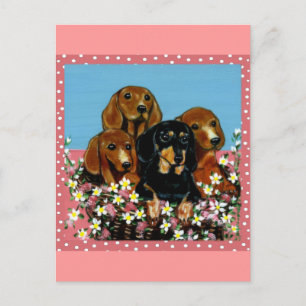 Mother's Day Dachshunds Postcard