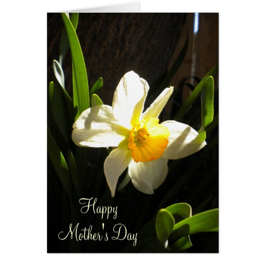 Mothers Day Daffodil Card