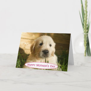 Mother's Day Dog Mum World's Best Ever Pet Photo Card