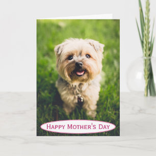 Mother's Day Dog Mum World's Best Ever Pet Photo Card