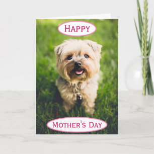 Mother's Day Dog Mum World's Best Ever Pet Photo Card