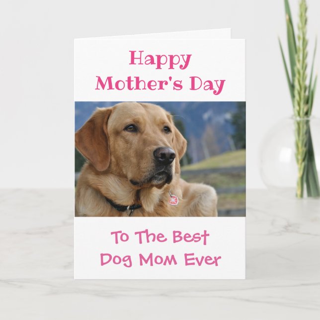 Mother's Day Dog Mum World's Best Ever Pet Photo Holiday Card (Front)