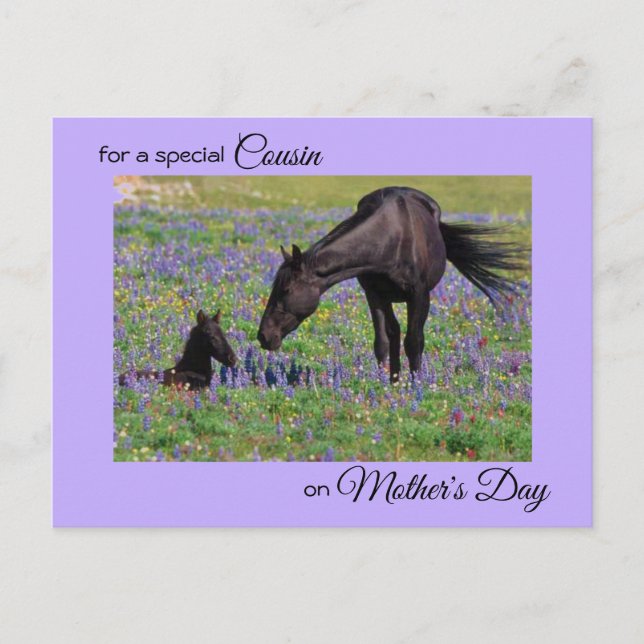 Mother's Day for Cousin Mare & Foal Photo Postcard (Front)