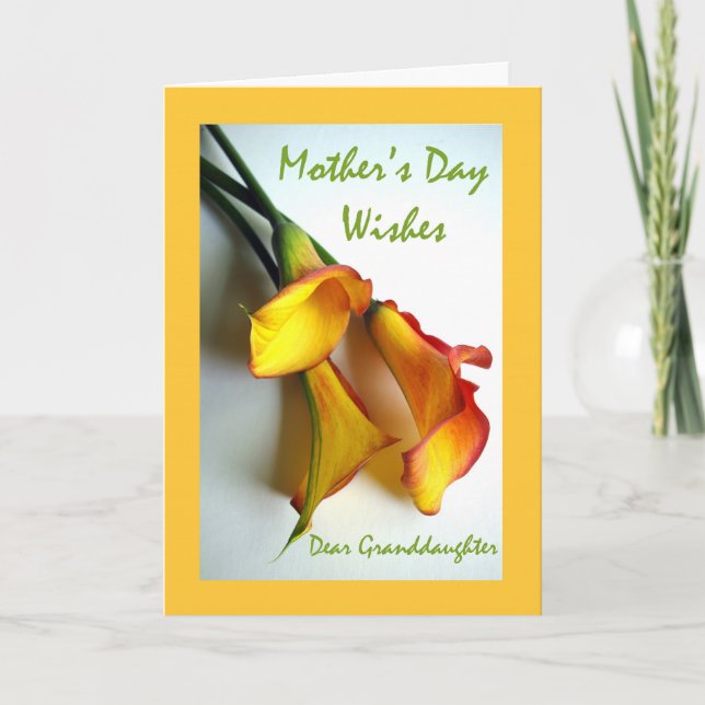 Mother's Day for Granddaughter, Calla Lilies Card (Front)