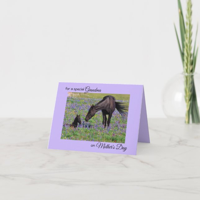Mother's Day for Grandma Mare & Foal Photo Note Card (Front)