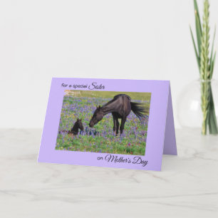 Mother's Day for Sister Mare Foal Flowers Photo Card